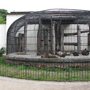 Dresden Zoo 2008 - Front of the old Lion cage