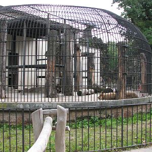 Dresden Zoo 2008 - Left side of the old Lion cage