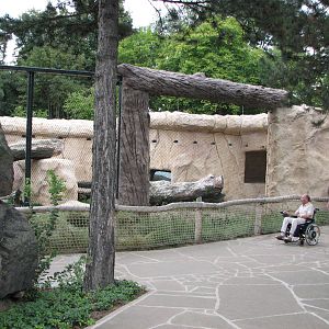 Dresden Zoo 2008 - African Lion exhibit