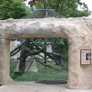 Dresden Zoo 2008 - Caracal exhibit
