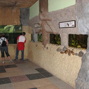 Dresden Zoo 2008 - Inside the Aquarium