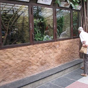 Dresden Zoo 2008 - Inside the Terrarium