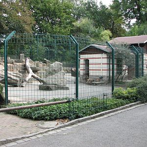 Dresden Zoo 2008 - West Himalayan Tahr enclosure