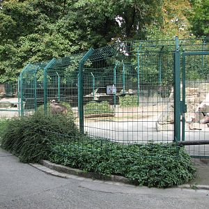 Dresden Zoo 2008 - Goat enclosures
