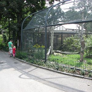 Dresden Zoo 2008 - Front of the Snowy Owl