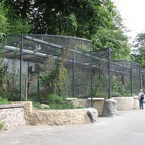 Dresden Zoo 2008 - Row of aviaries