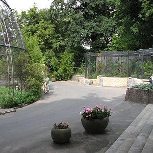 Dresden Zoo 2008 - Fence of the mixed Baboon and Vulture enclosure and then