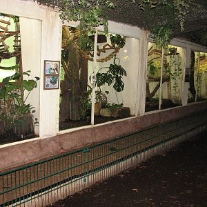 Dresden Zoo 2008 - Marmoset and Tamarin house