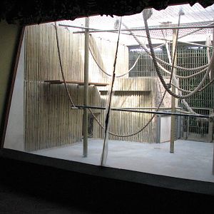 Dresden Zoo 2008 - Indoor Ape exhibit