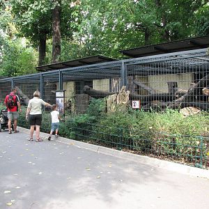 Dresden Zoo 2008 - Snow Leopard enclosure