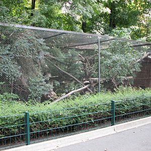 Dresden Zoo 2008 - Lynx enclosure?