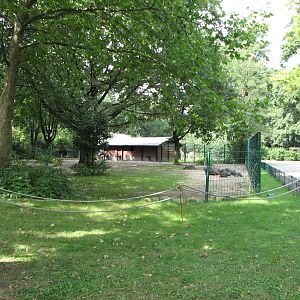 Dresden Zoo 2008 - Ostrich enclosure