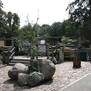 Dresden Zoo 2008 - Front of the Humboldt Penguin exhibit