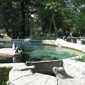 Dresden Zoo 2008 - Humboldt Penguin exhibit and Cheetah enclosure in the ba