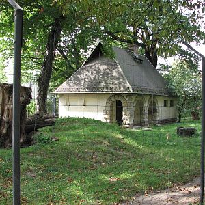 Dresden Zoo 2008 - Cheetah enclosure