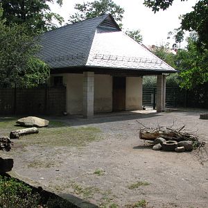 Dresden Zoo 2008 - Left side of the Javan Banteng exhibit