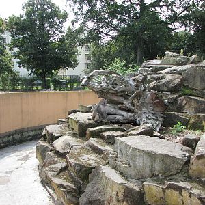 Dresden Zoo 2008 - Inside the old and dilapidated Rhesus Monkey circular ex