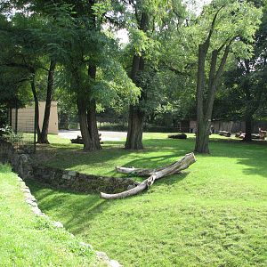 Dresden Zoo 2008 - Nilgai exhibit?