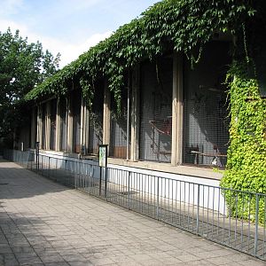 Dresden Zoo 2008 - Old row of primate cages
