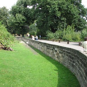 Dresden Zoo 2008 - Nandu exhibit