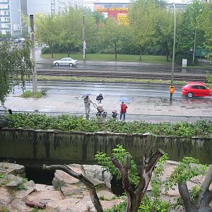 Berlin Tierpark 2004 - Looking over the American Black Bear exhibit and tow