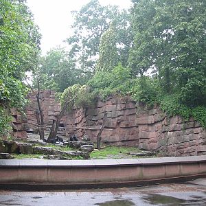 Berlin Tierpark 2004 - Front of the Spectacled Bear exhibit
