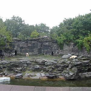 Berlin Tierpark 2004 - Polar Bear exhibit
