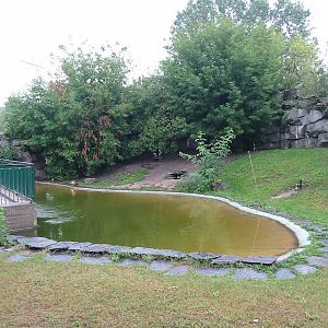 Berlin Tierpark 2004 - Humboldt Penguin exhibit