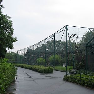 Berlin Tierpark 2004 - Right side of the famous mixed Birds of Prey aviary