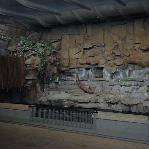 Berlin Tierpark 2004 - Tiger exhibit in the Alfred Brehm House