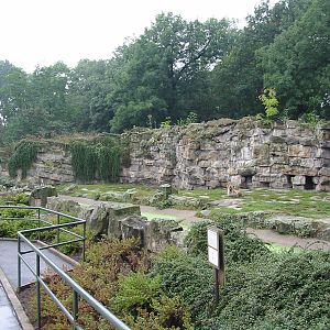 Berlin Tierpark 2004 - Spotted Hyena exhibit