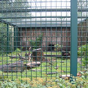 Berlin Tierpark 2004 - Malayan Sun Bear enclosure