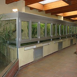 Berlin Tierpark 2004 - Inside the Crocodile House