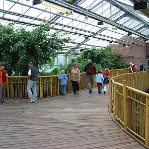 Berlin Tierpark 2004 - Inside the Crocodile House