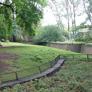 Berlin Tierpark 2004 - Rocky Mountain Goat exhibit
