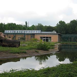 Berlin Tierpark 2004 - Moat of the Gelada Baboon exhibit at the Monkey Hous