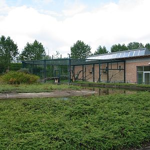 Berlin Tierpark 2004 - One side of the Monkey House and part of the Gelada