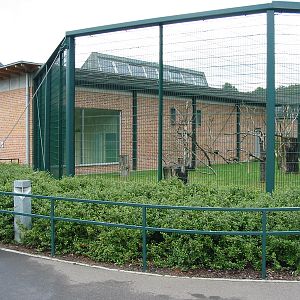 Berlin Tierpark 2004 - The other side of the Monkey House