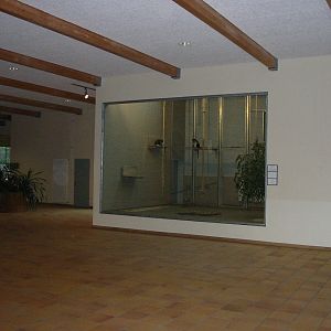 Berlin Tierpark 2004 - Inside the Monkey House