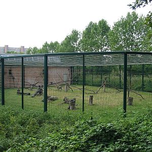 Berlin Tierpark 2004 - Outdoor enclosure at the Monkey House