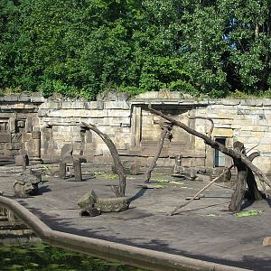 Berlin Tierpark 2004 - Temple monkey exhibit