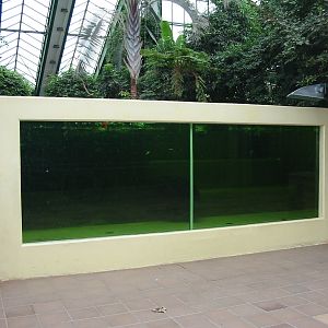 Berlin Tierpark 2004 - Viewing window into the Caribbean Manatee exhibit