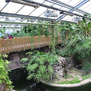 Berlin Tierpark 2004 - Inside the Crocodile House
