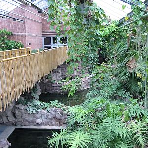 Berlin Tierpark 2004 - Inside the Crocodile House