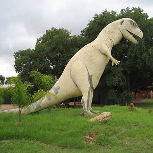 Dinosaur