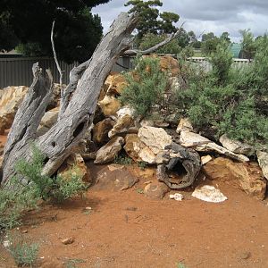Lace Monitor enclosure