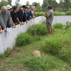 Rob Bredl and Leopard Tortoise