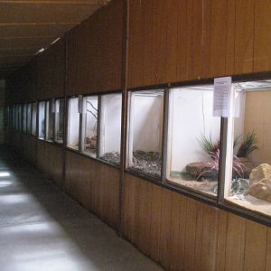 Snake cages in the Snakehouse