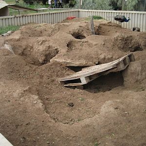 Wombat enclosure