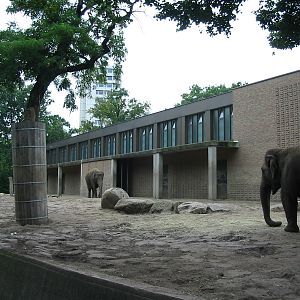 Zoo Berlin 2004 - Front of the Asiatic Elephant exhibit